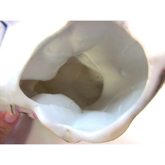 Victorian Boy on Horse Shell Bisque Planter by Wales Chinaware made in Japan - Picture 8 of 14